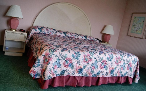 Meadow Court Inn - Ithaca image 10